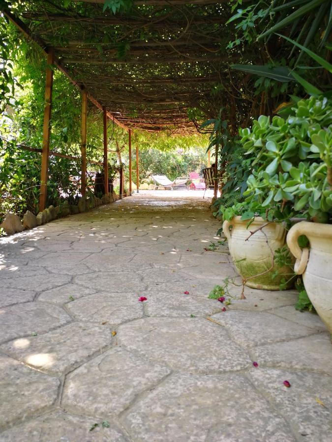 סולאנאס Villa Murgia מראה חיצוני תמונה
