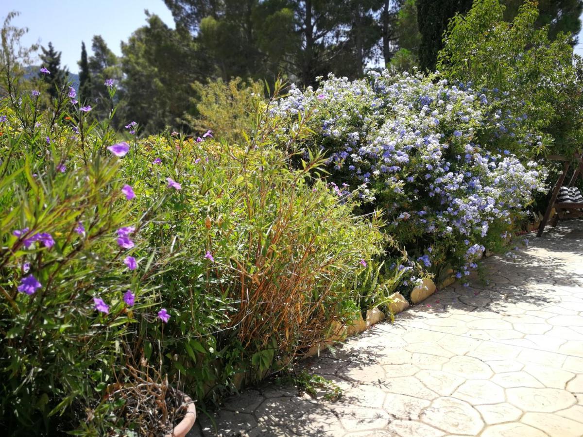 סולאנאס Villa Murgia מראה חיצוני תמונה