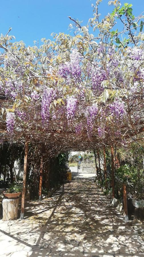 סולאנאס Villa Murgia מראה חיצוני תמונה